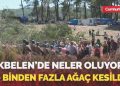 Akbelen’de neler oluyor? 40 binden fazla ağaç kesildi!