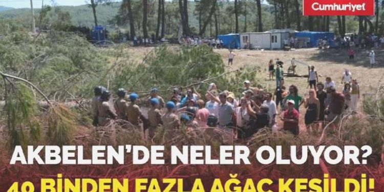 Akbelen’de neler oluyor? 40 binden fazla ağaç kesildi!
