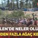 Akbelen’de neler oluyor? 40 binden fazla ağaç kesildi!