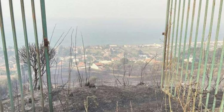 Altı Akdeniz ülkesinden ortak iklim krizi bildirisi: ‘Artık kaybedecek vakit yok’