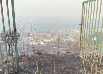 Altı Akdeniz ülkesinden ortak iklim krizi bildirisi: ‘Artık kaybedecek vakit yok’