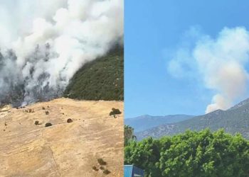 Antalya’daki Asas Dağı’nda orman yangını!