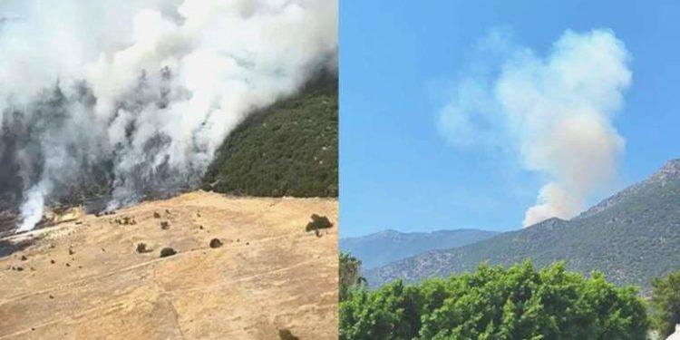 Antalya’daki Asas Dağı’nda orman yangını!