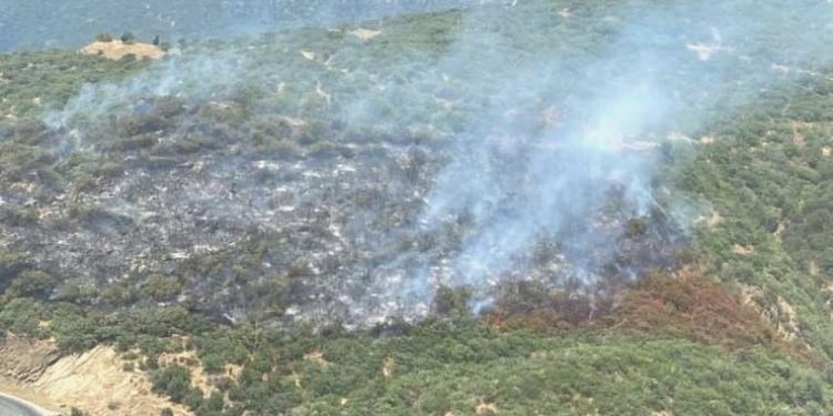 Arabada çıkan yangın ormana sıçradı!