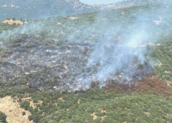 Arabada çıkan yangın ormana sıçradı!