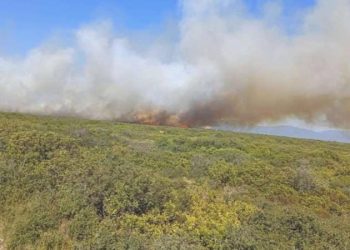 Aydın Didim’de makilik alanda yangın