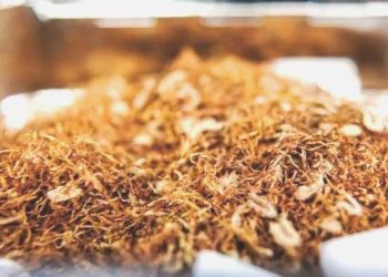 Bir sigara kümesi, sarma tütüne artırım yaptı