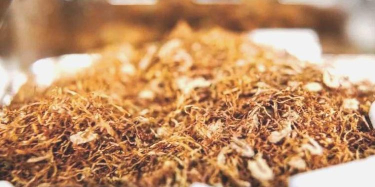 Bir sigara kümesi, sarma tütüne artırım yaptı