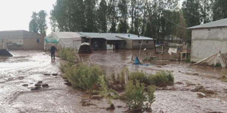 Bir yanda çok sıcaklar bir yanda sel: Konutları su bastı, tarlalar ziyan gördü!