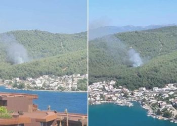 Bodrum’da orman yangını: Takımlar müdahale ediyor