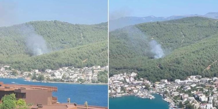 Bodrum’da orman yangını: Takımlar müdahale ediyor