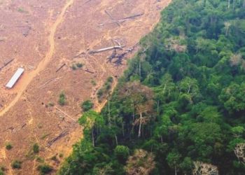 Brezilya önderi Lula, Amazon’a nefes aldırdı