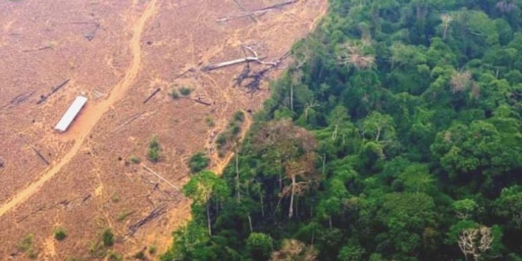 Brezilya önderi Lula, Amazon’a nefes aldırdı