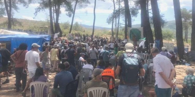 Çabanın 16. günü: Akbelen’de ‘Büyük Buluşma’ başlıyor!