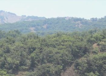 Çanakkale Valiliği’nden orman yangınlarına ait ihtar