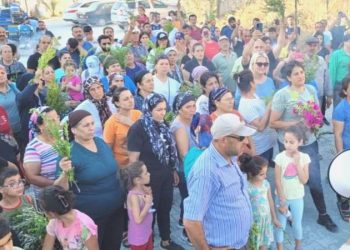 Dikmece köylüleri tarım ve zeytinlik yerleri için direniyor: Yer farklı, coplatan vali birebir