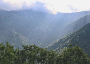 Gaziantep’te ormanlık alanlara giriş yasağı 4 Eylül tarihine kadar uzatıldı!