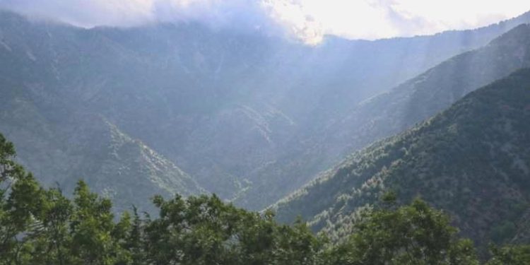 Gaziantep’te ormanlık alanlara giriş yasağı 4 Eylül tarihine kadar uzatıldı!