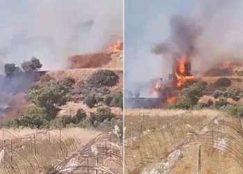 Hatay’da orman yangını!