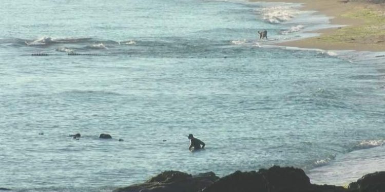 İhbarla ortaya çıkmıştı: Şile’de denizde bulunan top mermileri imha ediliyor