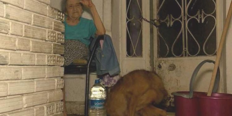 İstanbul’da yürekleri sızlatan olay: Mesken sahibi meskenden çıkardı, 95 yaşındaki bayan sokakta kaldı