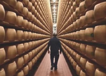 İtalya’da binlerce peynir tekerleği üzerine düşen bir üretici öldü