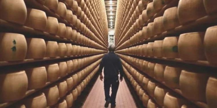 İtalya’da binlerce peynir tekerleği üzerine düşen bir üretici öldü