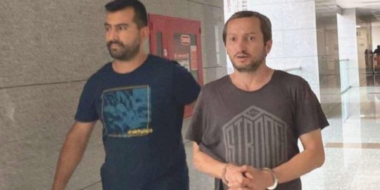 Kedilere asitle azap eden zanlı tutuklandı