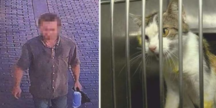 Kedilere kezzap ve asit dökmüştü: 91 bin TL ‘para cezası’ kesildi