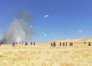 Mardin ve Şanlıurfa’da elektrik dağıtım şirketi çalışanı ile köylüler ortasında arbede: Tarlayı ateşe verip ortalığı savaş alanına çevirdiler
