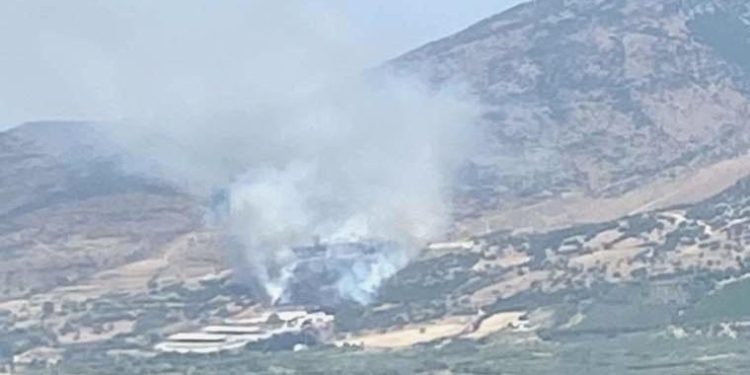 Menemen’de orman yangını