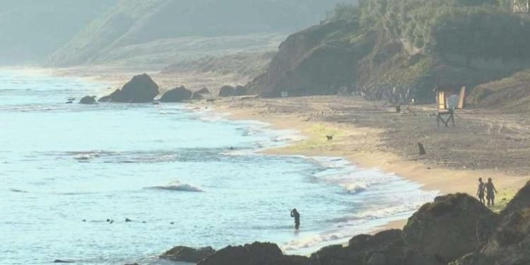 MSB’den Şile’deki top mermilerine dair açıklama: ‘2’nci Dünya Savaşı’ndan kalma’