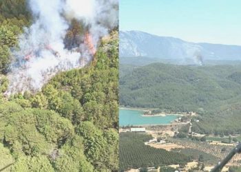 Muğla’da orman yangını: Havadan ve karadan müdahale başlatıldı!