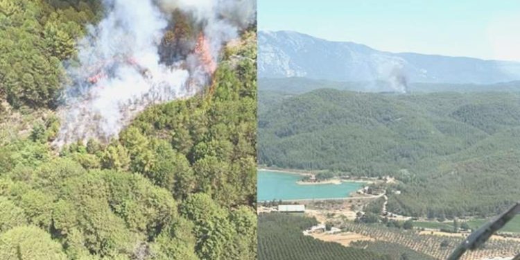 Muğla’da orman yangını: Havadan ve karadan müdahale başlatıldı!