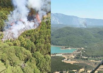 Muğla’da orman yangını: Soruşturma başlatıldı!