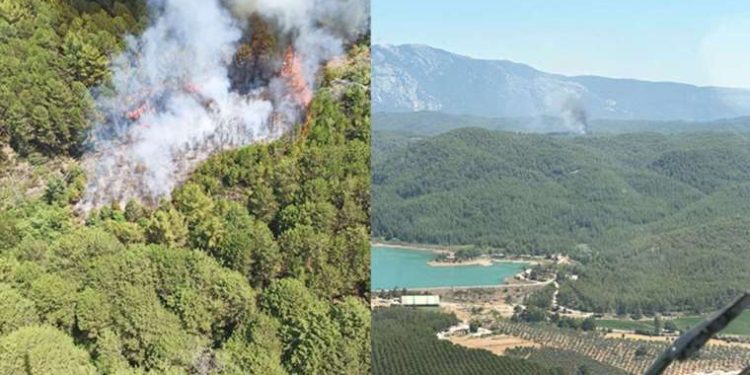 Muğla’da orman yangını: Soruşturma başlatıldı!