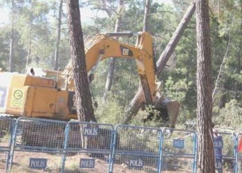 Müzisyen Serhasi’nin nöbette bestelediği müzik direnişin simgesi oldu: Ağaç da vatana dahil!