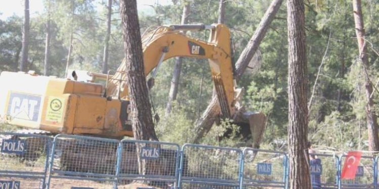 Müzisyen Serhasi’nin nöbette bestelediği müzik direnişin simgesi oldu: Ağaç da vatana dahil!