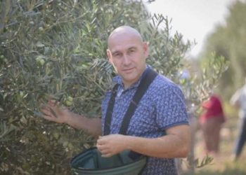 Raf fiyatı yasakla değil sübvansiyon ile düşer