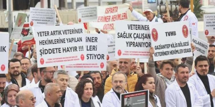Şiddet onlara da sıçradı: Veteriner doktorlar greve çıkıyor!