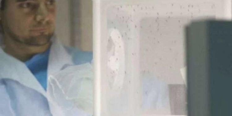 Sıtmayla uğraşta yeni ‘rastlantısal keşif’