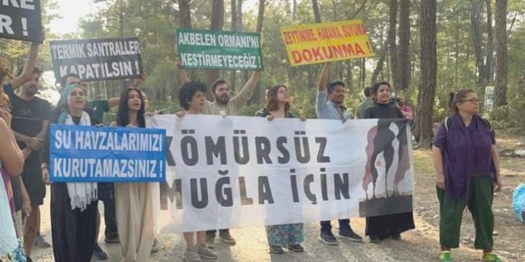 Sol Parti’den Muğla Valiliği’ne ‘Akbelen’ daveti