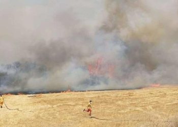 Son Dakika: Balıkesir ve Hatay’da orman yangını çıktı!
