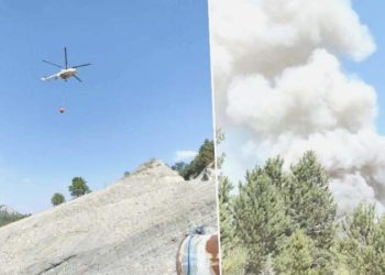 Son dakika… Bilecik’te ormanlık alanda çıkan yangın denetim altına alındı