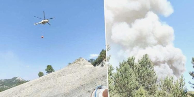 Son dakika… Bilecik’te ormanlık alanda çıkan yangın denetim altına alındı