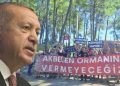 Son dakika… Erdoğan, ‘Akbelen’deki direnişi amaç aldı: Çevreci görünümlü marjinallere aldırmıyor, işimize bakıyoruz