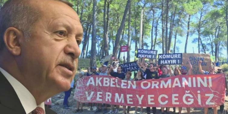 Son dakika… Erdoğan, ‘Akbelen’deki direnişi amaç aldı: Çevreci görünümlü marjinallere aldırmıyor, işimize bakıyoruz