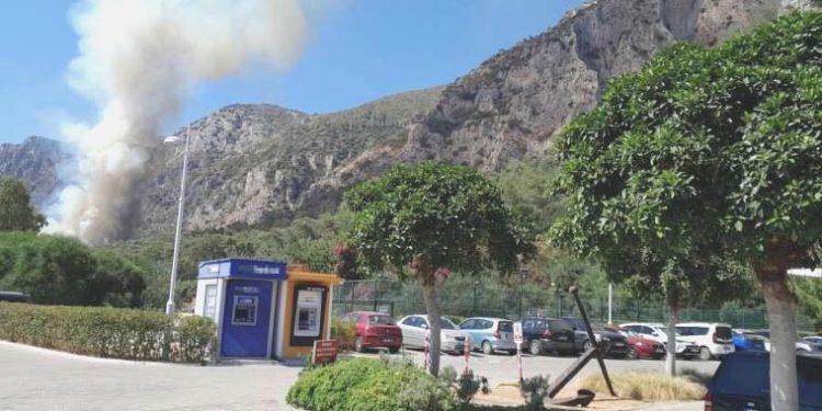 Son dakika… Milas’ta orman yangını!