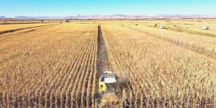 Tarımda ithalat, ihracatı geçti! Üst üste iki ay dış ticaret açığı verdi