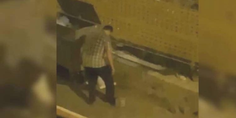 Trabzon’da vahşet… Yavru kedileri ayağıyla ezip öldürdü!